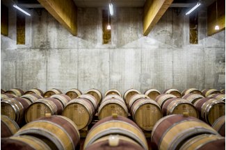 vino